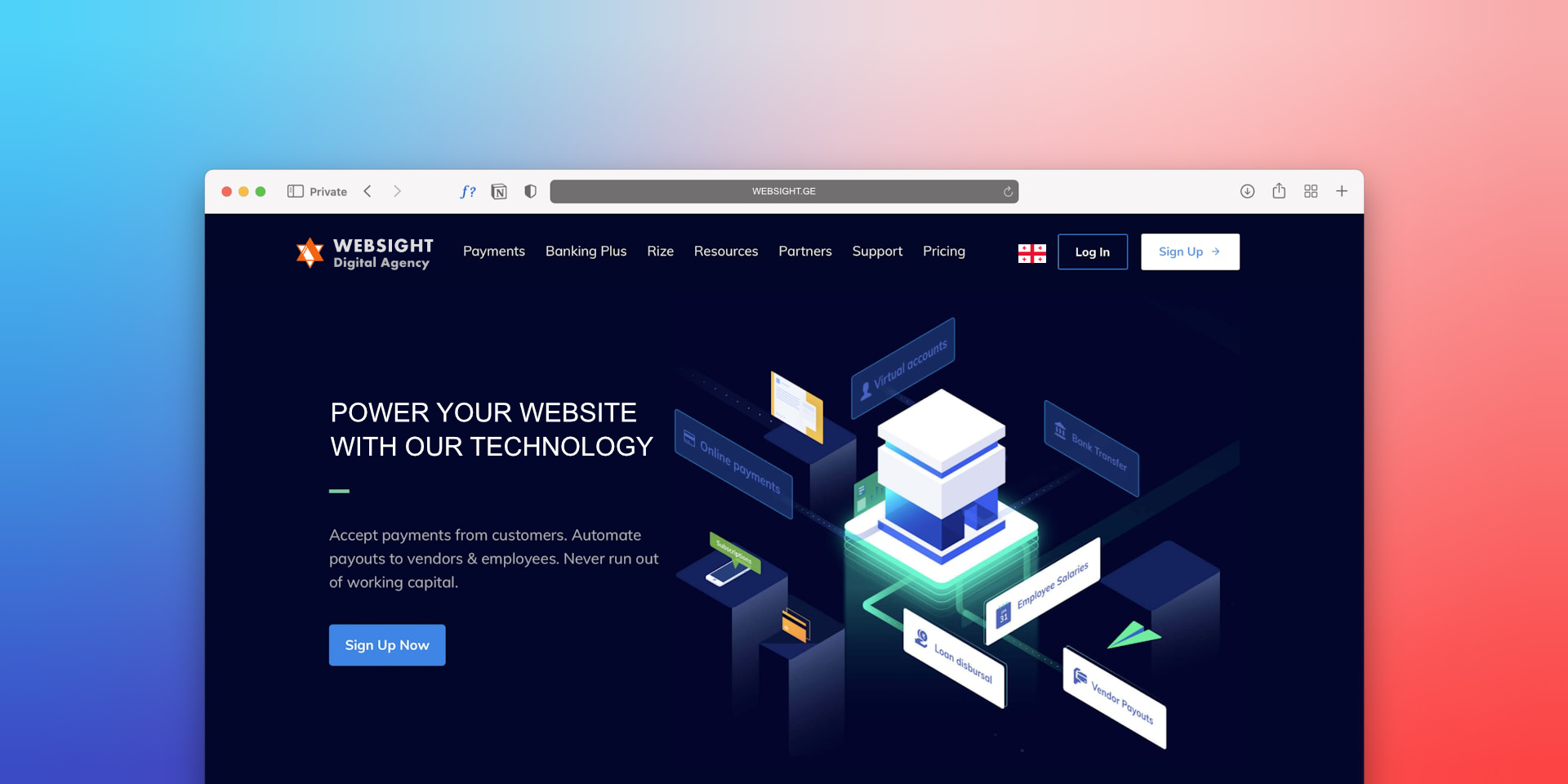 About Websight